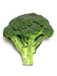 a head of broccoli