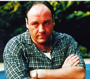 James Gandolfini in "The Sopranos"